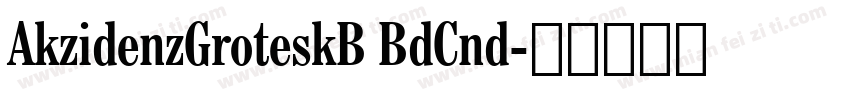 AkzidenzGroteskB BdCnd字体转换